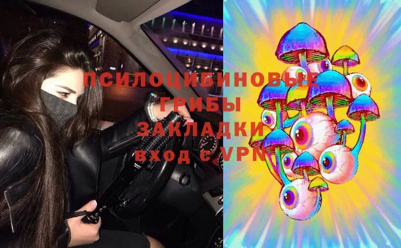 Псилоцибиновые грибы Psilocybe  Мамоново 